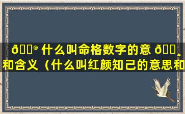 💮 什么叫命格数字的意 🌸 思和含义（什么叫红颜知己的意思和含义）